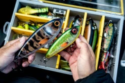 Abu Garcia Abu Svartzonker McTracer -Vis Lijn Pro Verkoopwinkel 1572597r 5