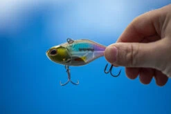 Berkley DEX Ripper -Vis Lijn Pro Verkoopwinkel 1572667r 5