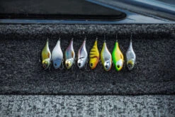 Berkley DEX Ripper -Vis Lijn Pro Verkoopwinkel 1572667r 6