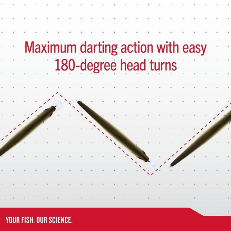 Berkley DEX Stunna 11cm 2 Berkley DEX Stunna 11cm - Afbeelding 2