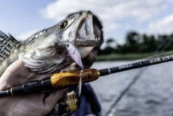 Quantum 4Street Spin-Jig 14g -Vis Lijn Pro Verkoopwinkel 22 3494304r 3