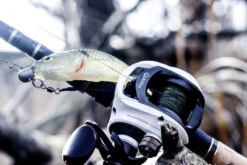 Quantum Accurist Baitcast AT101 HPT -Vis Lijn Pro Verkoopwinkel 22 570101 7