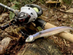 Quantum Accurist Baitcast AT101 HPT -Vis Lijn Pro Verkoopwinkel 22 570101 8