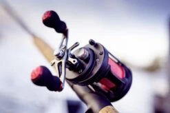 Quantum Nova 351 -Vis Lijn Pro Verkoopwinkel 22 690351 8