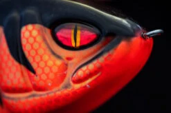 Daiwa PX Lazy Jerk Distance -Vis Lijn Pro Verkoopwinkel 32 217457r 4