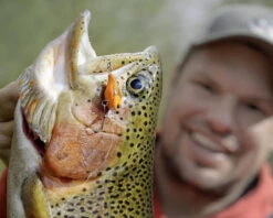 Magic Trout Hustle And Bustle Lake 2,7cm, 1,1g -Vis Lijn Pro Verkoopwinkel 3501101r 3