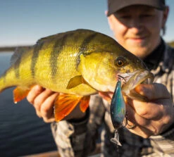 Headbanger Cranky Shad -Vis Lijn Pro Verkoopwinkel CS 25 SS BKr 4