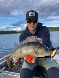 Headbanger Cranky Shad -Vis Lijn Pro Verkoopwinkel CS 25 SS BKr 6