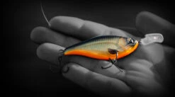 Headbanger Cranky Shad -Vis Lijn Pro Verkoopwinkel CS 25 SS BKr 8