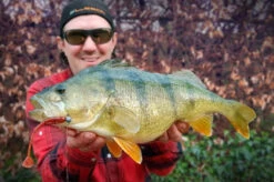 High5Lures Drop9 (6pcs) -Vis Lijn Pro Verkoopwinkel DRP9101r 4