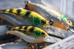 Shimano Yasei Cover Crank F -Vis Lijn Pro Verkoopwinkel LUYASCCFSR07RBTr 4