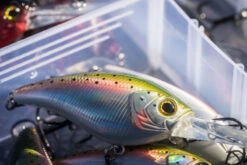 Shimano Yasei Cover Crank F -Vis Lijn Pro Verkoopwinkel LUYASCCFSR07RBTr 6