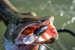 Shimano Yasei Cover Crank F -Vis Lijn Pro Verkoopwinkel LUYASCCFSR07RBTr 8