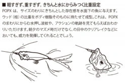 Megabass PopX -Vis Lijn Pro Verkoopwinkel MB 00000000267r 3