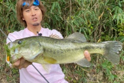 Megabass Vibration-X Dyna (Rattle In) -Vis Lijn Pro Verkoopwinkel MB VXDR 4513473465505r 3