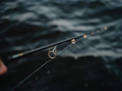 Jaeger Pike One Spinn 8'4'' 30-90g -Vis Lijn Pro Verkoopwinkel PKE ROD 1 5