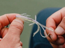 Jaeger Perch Go Kit 17 Jaeger Perch Go Kit -Vis Lijn Pro Verkoopwinkel PRC KIT GO 1 9