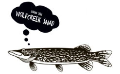 Wolfcreek Shad 2.0 20cm, 75g -Vis Lijn Pro Verkoopwinkel WCL SHAD20r 7